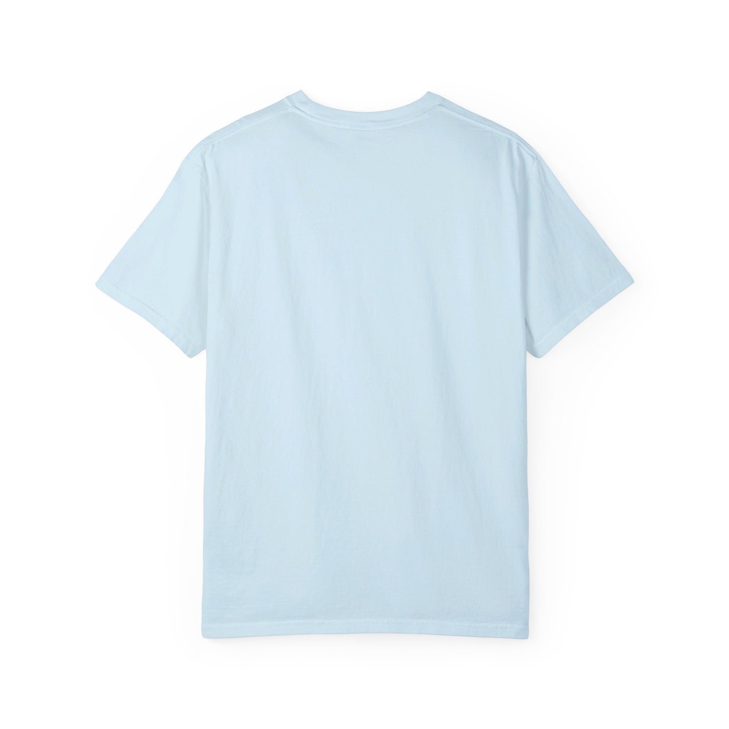 "Publik Skool" Unisex Garment-Dyed T-shirt