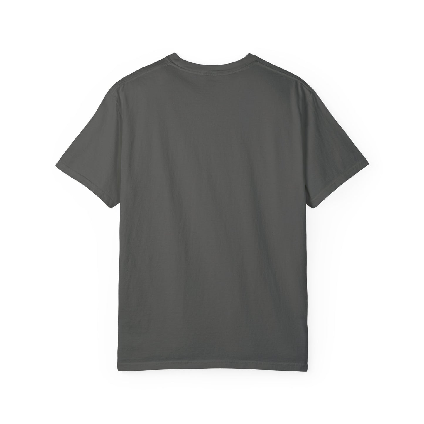 "Gray Bird" Unisex Garment Dyed T-Shirt