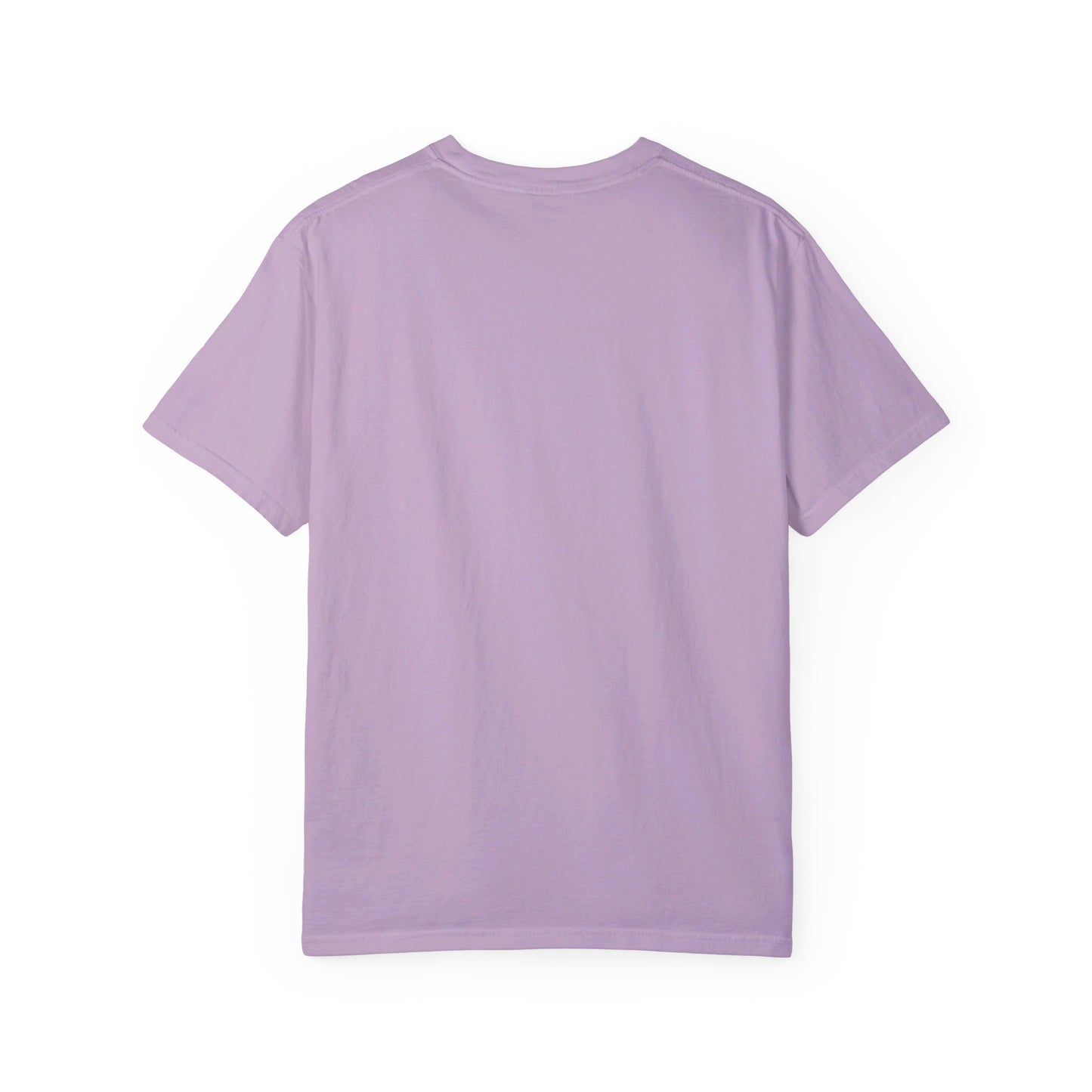 "Publik Skool" Unisex Garment-Dyed T-shirt