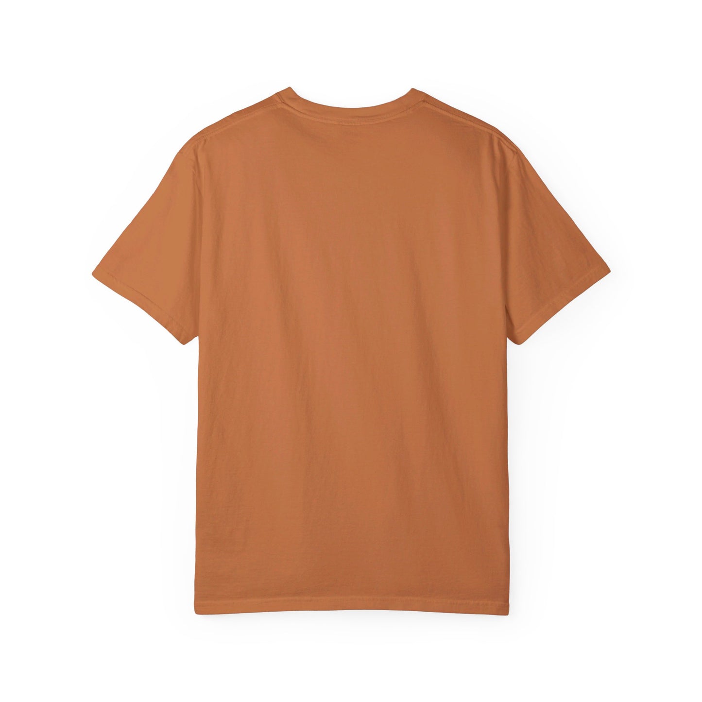 "Publik Skool" Unisex Garment-Dyed T-shirt