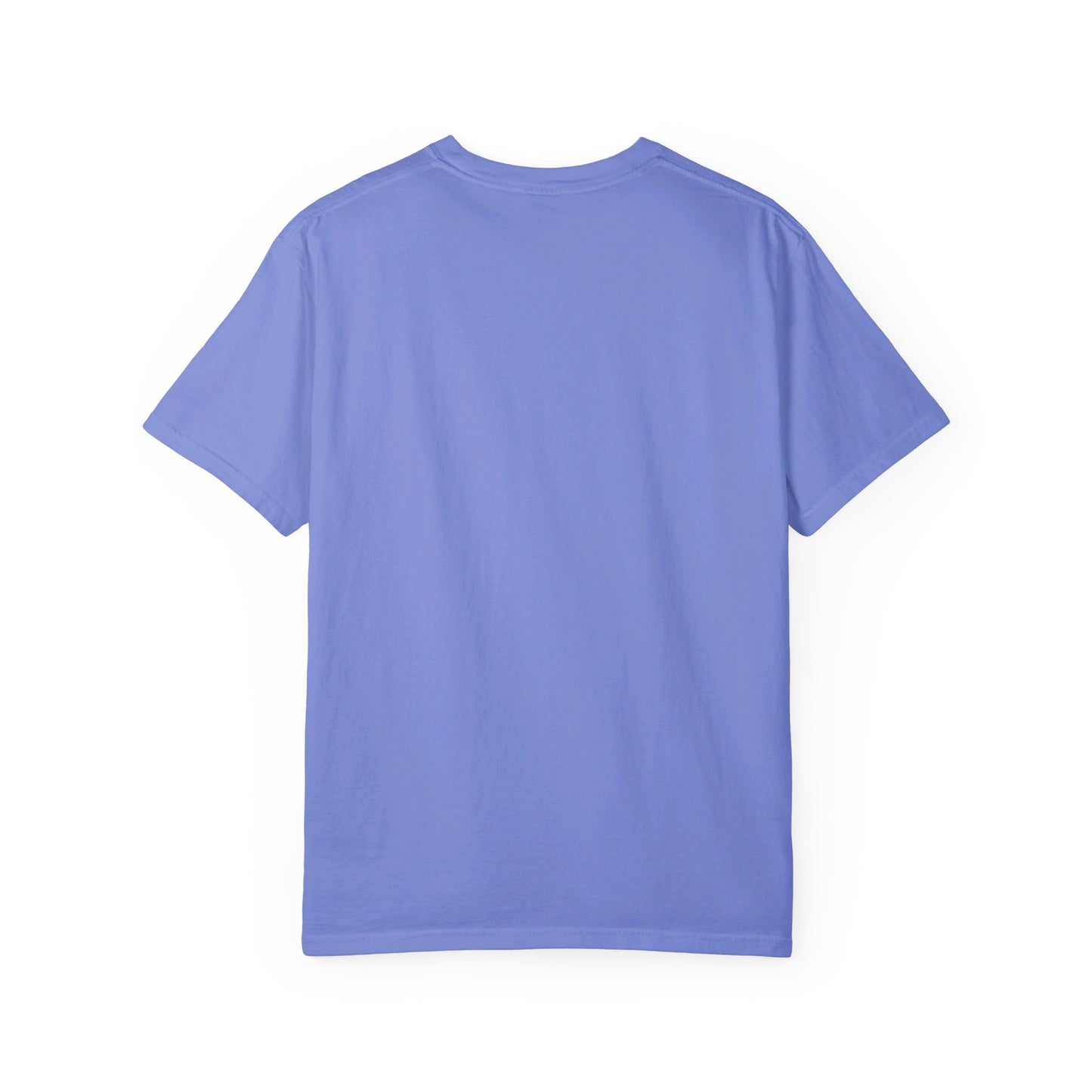 "Publik Skool" Unisex Garment-Dyed T-shirt