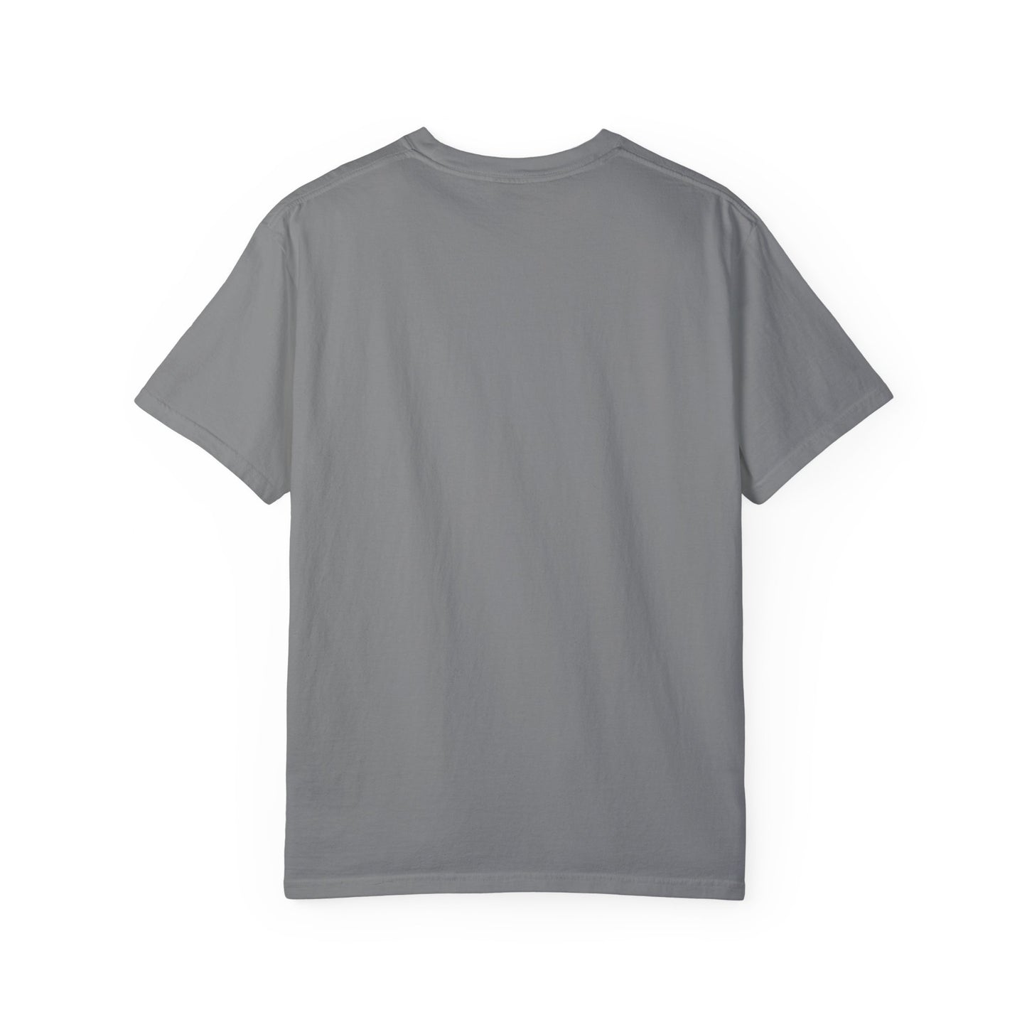 "Gray Bird" Unisex Garment Dyed T-Shirt